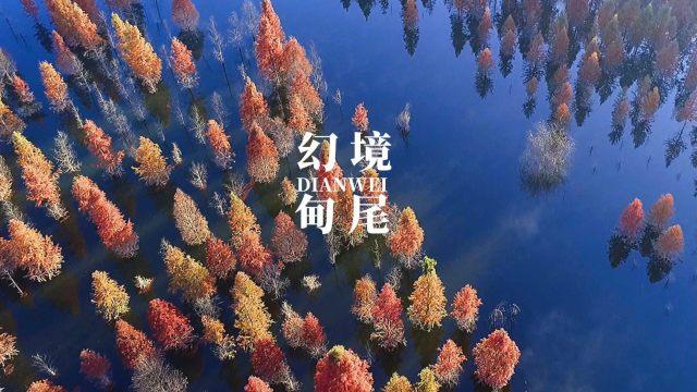 宁武县召开生态环境保护工作会