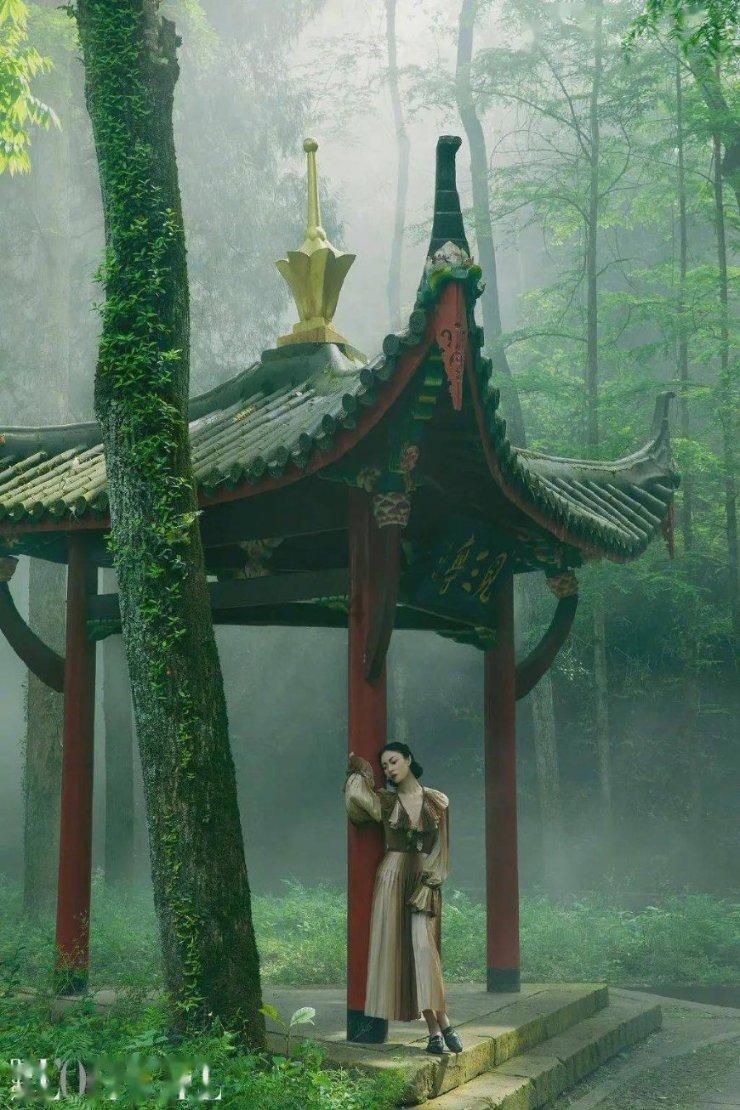 春雨直播app