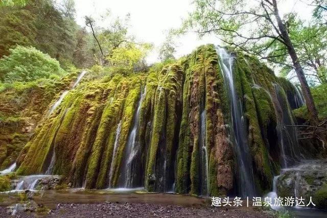 细胞分裂4