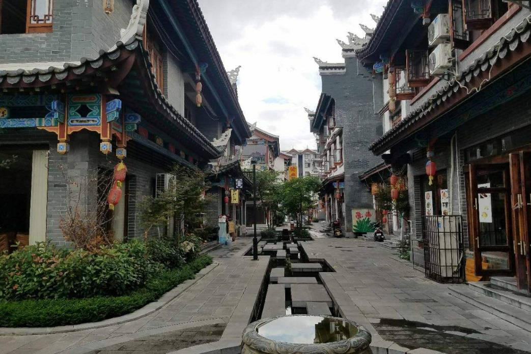 救援卷耳兔